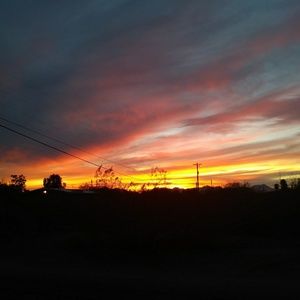 Meet your Posher, Alisia